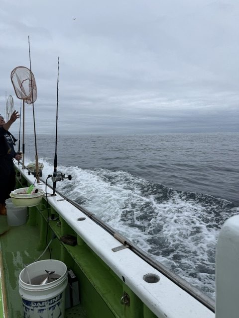 🎣お取引先様と小田原へ！釣りに行ってきました🐟✨